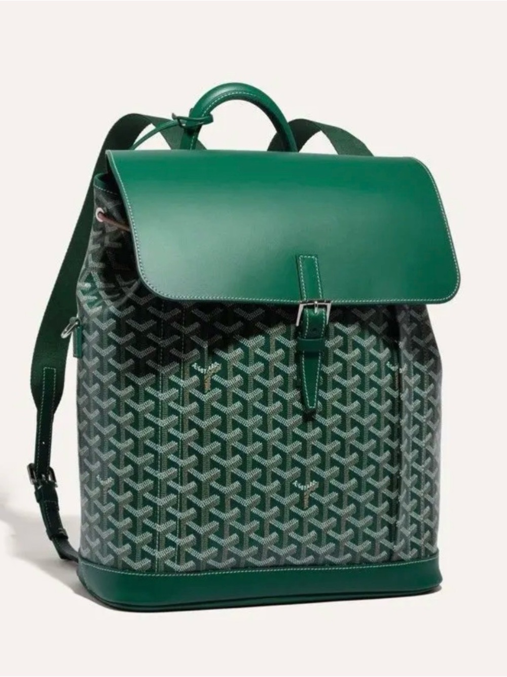 Goyard Alpin MM backpack - Green